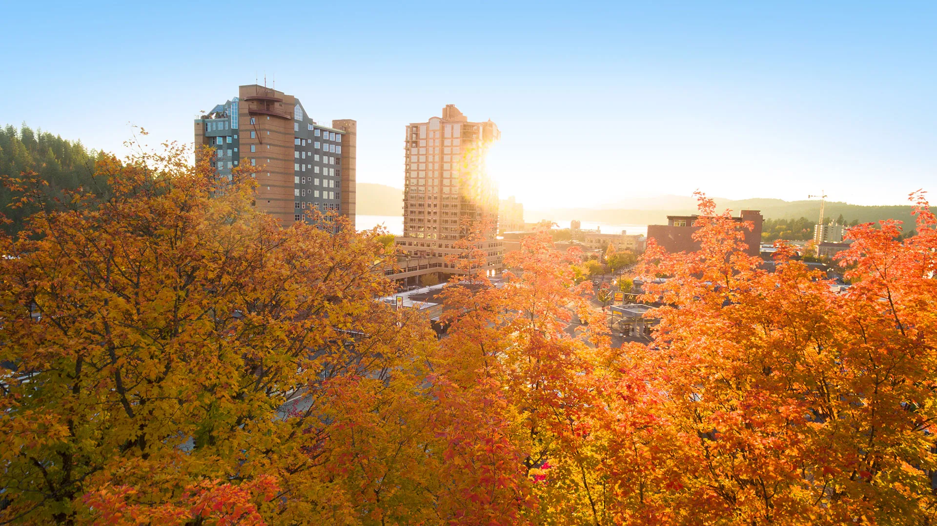 City Peering Over Fall Trees in Coeur d'Alene, Idaho