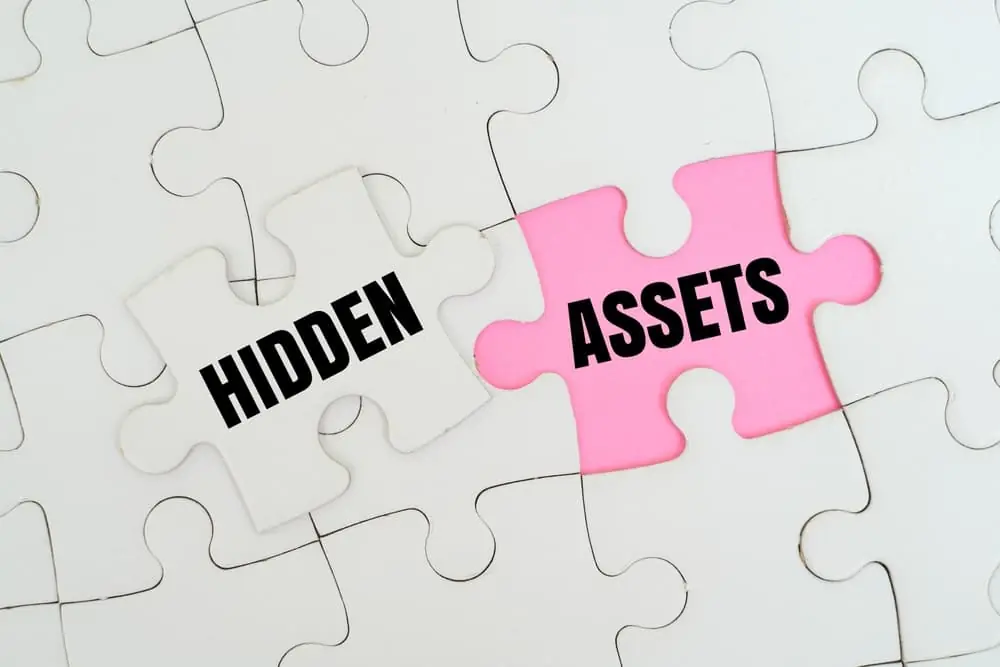 puzzle pieces with 'hidden assets' written